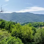 Dalmatian Gem - Two-bedroom With Terrace And Swimming Pool Vila Gruda