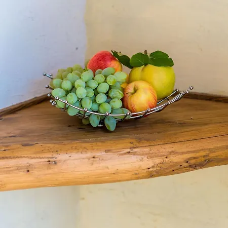 Villa Dalmatian Gem - Two-bedroom With Terrace And Swimming Pool Gruda