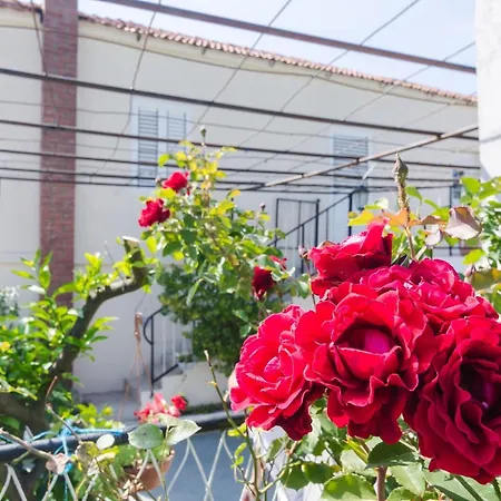 Vila Dalmatian Gem - Two-bedroom With Terrace And Swimming Pool Gruda